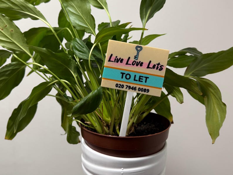 May include: A potted plant with large green leaves. A small sign in the pot reads "Live Love Lets TO LET" with a key graphic. The sign has a teal and white stripe. The pot is brown and white.