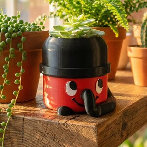 May include: A red and black novelty planter shaped like a cartoon character, holding a small succulent plant. The planter has a smiling face and is sitting on a wooden shelf with other potted plants.