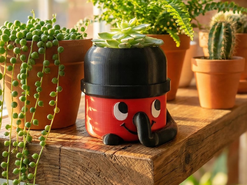 May include: A red and black novelty planter shaped like a cartoon character, holding a small succulent plant. The planter has a smiling face and is sitting on a wooden shelf with other potted plants.