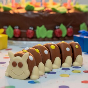 May include: A chocolate frosted birthday cake with candles, decorated with green leaves and red ladybugs. A brown caterpillar-shaped candy with white and yellow accents is in the foreground. Colorful confetti and wrapped gifts are also visible.