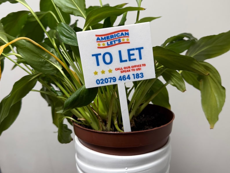 May include: A potted plant with green leaves and a white sign that reads "TO LET." The sign also includes the text "AMERICAN LET'S" and a phone number. The plant is in a brown pot.
