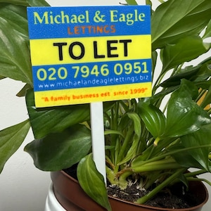 May include: A potted plant with large green leaves. A sign that reads "TO LET" is placed in the plant. The sign has the name "Michael & Eagle LETTINGS" at the top, and a phone number and website address below.