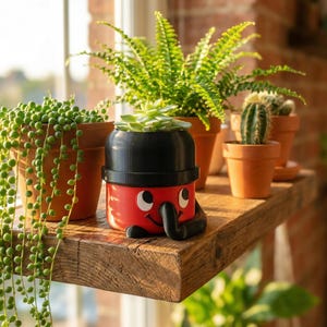 May include: A red and black novelty planter shaped like a cartoon vacuum cleaner, holding a small succulent. Other terracotta pots hold various plants, including a string of pearls, ferns, and cacti. The plants sit on a rustic wooden shelf near a window.