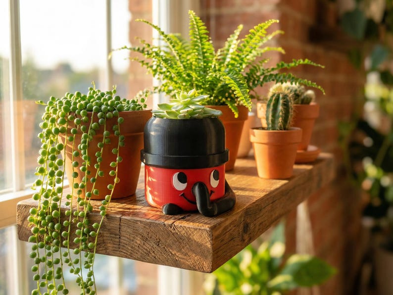 May include: A red and black novelty planter shaped like a cartoon vacuum cleaner, holding a small succulent. Other terracotta pots hold various plants, including a string of pearls, ferns, and cacti. The plants sit on a rustic wooden shelf near a window.
