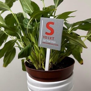 May include: A potted plant with large green leaves. A gray sign with the red letter "S" and the words "TO LET" is placed in the plant. The plant is in a brown pot, which sits on a white, ribbed planter.