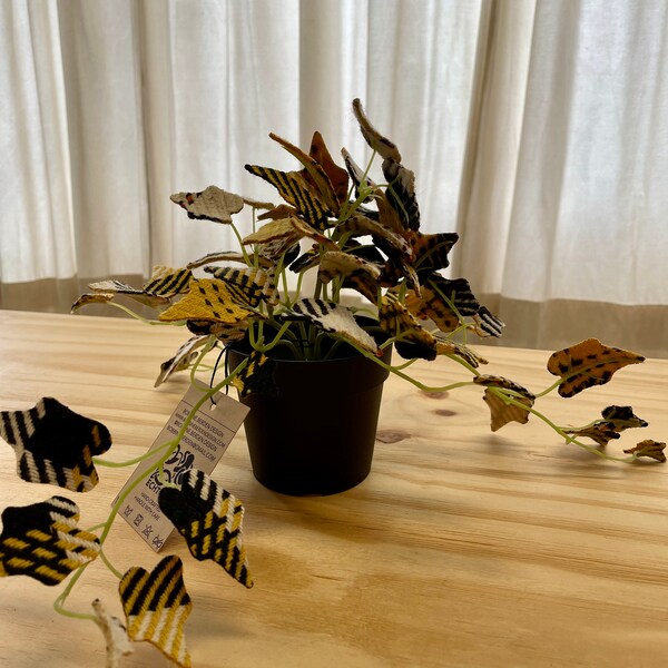 Fake Hanging Plant Etsy