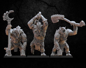 Cipactli unit Lizard Fighters Soldiers kroxi AoS war games Dungeons Proxy Descent Role Dragons RPG Tabletop Lost Kingdom