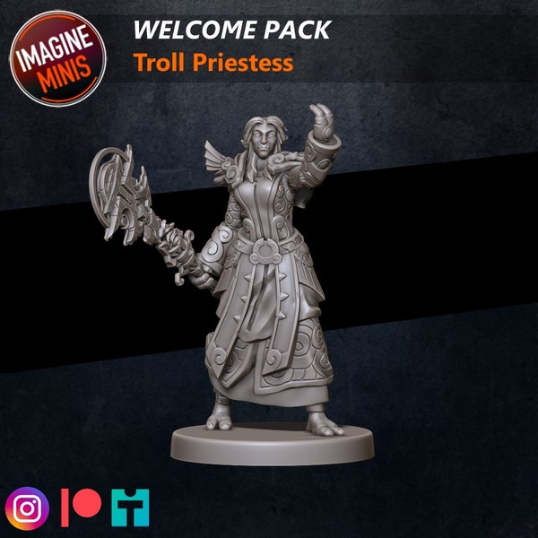 Troll Priestess AoS war games Role Dungeons And Dragons Proxy Descent Tabletop RPG Tabletop Imagine Minis