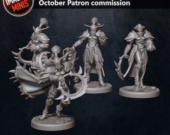 Night Elf Elven Forest Wardens Demon Hunter Jailers AoS war games Role Playing Dungeons And Dragons Proxy Descent Tabletop RPG Tabletop Imagine Minis