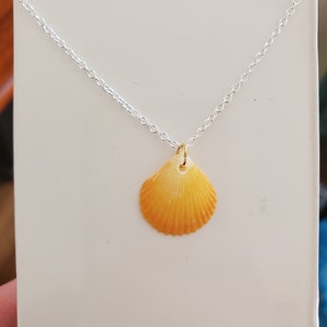 Könnte beinhalten: Eine silberne Kettenkette mit einem kleinen, orangefarbenen Muschel Anhänger.