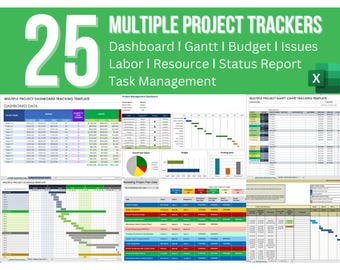 25 Multiple Project Trackers: Dashboard ǀ Gantt ǀ Budget ǀ Issues ǀ Labor ǀ Resource (Digital Download)