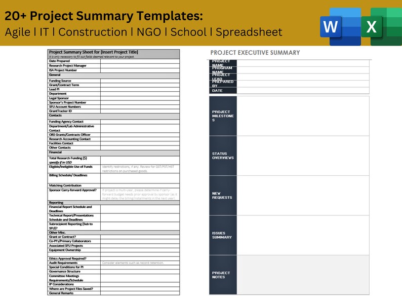 20+ Project Summary Templates: Agile ǀ IT ǀ Construction ǀ NGO ǀ School ...
