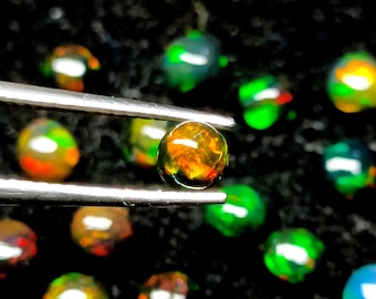 May include: A close-up of a round, iridescent opal gemstone held in tweezers. The opal is a vibrant mix of green, orange, and red. The gemstone is surrounded by other opals of various colours.