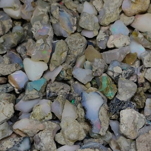 Könnte beinhalten: Eine Sammlung von rohen Opal-Steinen in verschiedenen Größen und Formen. Die Steine sind eine Mischung aus Weiß, Grau und Braun, wobei einige einen schillernden Farbglanz aufweisen.