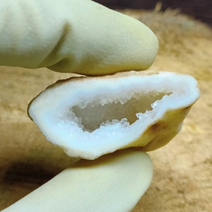 May include: A geode cut in half, revealing a sparkling white crystal interior. The outer shell is a light tan color with a white border around the crystal cavity. The geode is held by a gloved hand.