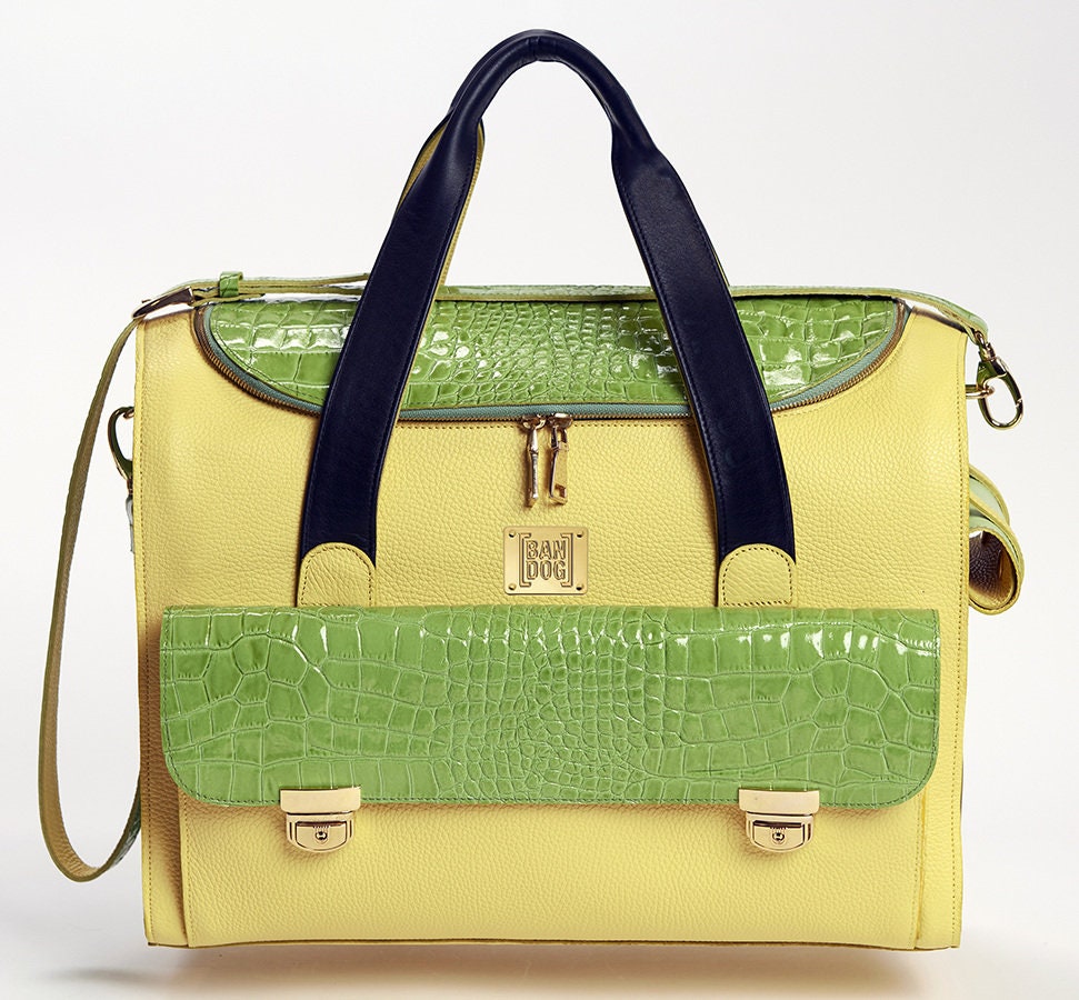 Rigid Genuine Leather Dog Carrier / Elegant Dog Bag / Pet Etsy