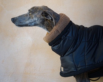 Padded coat for greyhound dogs/ winter clothing for dogs/ made in Italy/ clothes for galgo/ whippet/ iggy/ greyhound