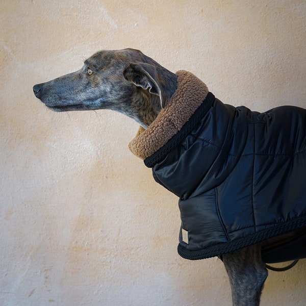 Manteau rembourré pour chiens lévriers/ vêtements d'hiver pour chiens/ made in Italy/ vêtements pour galgo/ whippet/ iggy/ greyhound