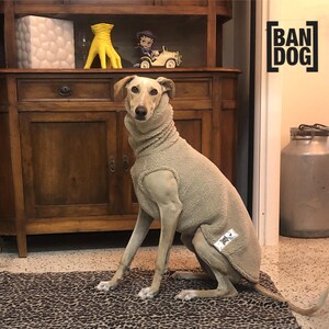 Greyhound Varm Väst - Skyddsväst - Mycket Varm Termisk Galgo/Whippet Bekväm Tröja Julklapp