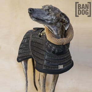 CUSTOM Padded Greyhound Coat/Winter Dog Coat/Clothes for Galgo/Whippet/Iggy/Greyhound/Warm Coat