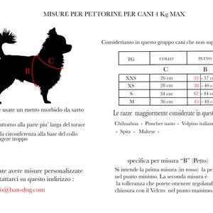 Pettorina in tessuto impermeabile bianca personalizzabile per cani fino a 4 kg di peso/ accessori per animali/ made in Italy imagem 5