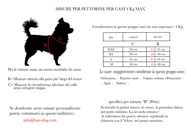 Pettorina in tessuto impermeabile bianca personalizzabile per cani fino a 4 kg di peso/ accessori per animali/ made in Italy imagem 5