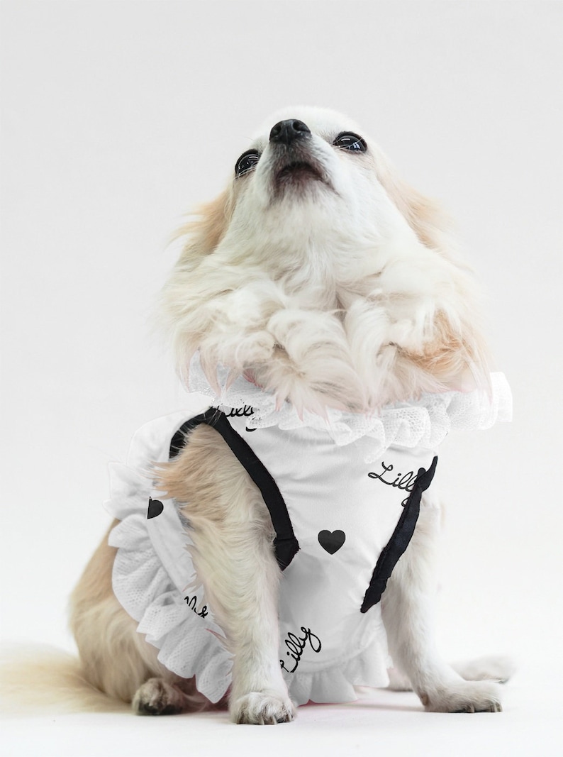 Customizable white waterproof fabric harness for dogs up to 4 kg in weight / pet accessories / made in Italy image 1