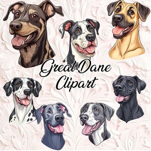 Great Dane Clipart - 7 PNG Files | Cartoon & Semi-Realistic PNG | Great Dane Dog Clipart Bundle | Digital Download | Sublimation Design