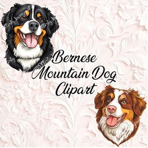 Berner Sennenhund Clipart - 2 PNG-Dateien | Cartoon & semi-realistische PNG | Hund Clipart Bundle | Digitaler Download | Sublimationsdesign