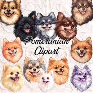 Pomeranian Clipart - 12 PNG Files | Cartoon & Semi-Realistic PNG | Pomeranian Dog Clipart Bundle | Digital Download | Sublimation Design