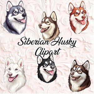 Siberian Husky Clipart - 6 PNG Files | Cartoon & Semi-Realistic PNG | Husky Dog Clipart Bundle | Digital Download | Sublimation Design