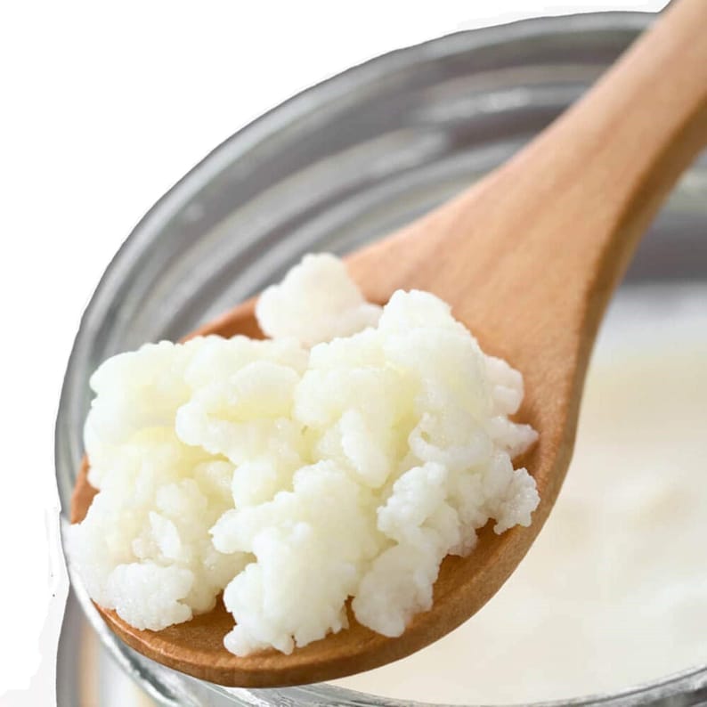 Puede incluir: Primer plano de una cuchara de madera llena de granos de k&eacute;fir blancos. Los granos est&aacute;n en un frasco de vidrio lleno de un l&iacute;quido blanco.