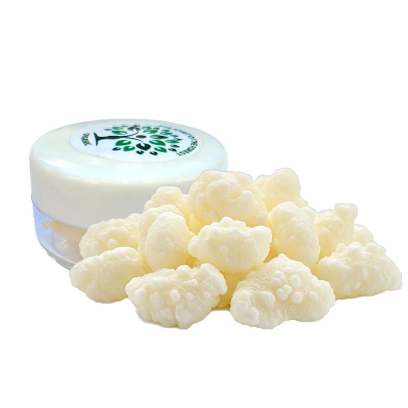 Granos de kéfir de leche orgánica: cultivo iniciador probiótico libanés vivo imagen 2