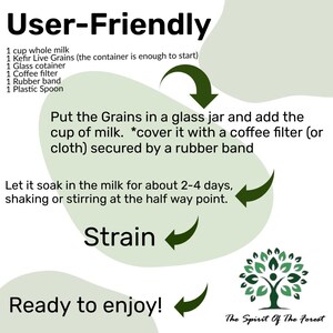 Granos de kéfir de leche orgánica: cultivo iniciador probiótico libanés vivo imagen 5