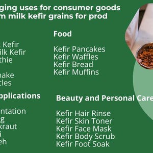 Granos de kéfir de leche orgánica: cultivo iniciador probiótico libanés vivo imagen 10