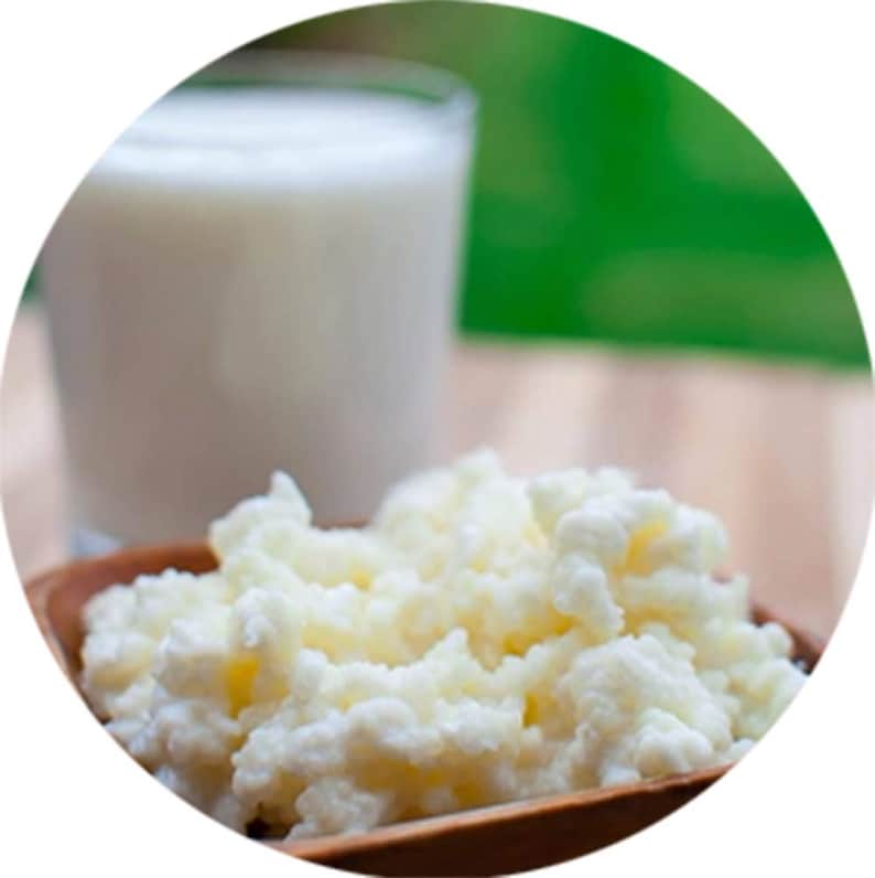 Puede incluir: Primer plano de un bol de granos de k&eacute;fir blancos, un producto l&aacute;cteo fermentado, junto a un vaso de leche.