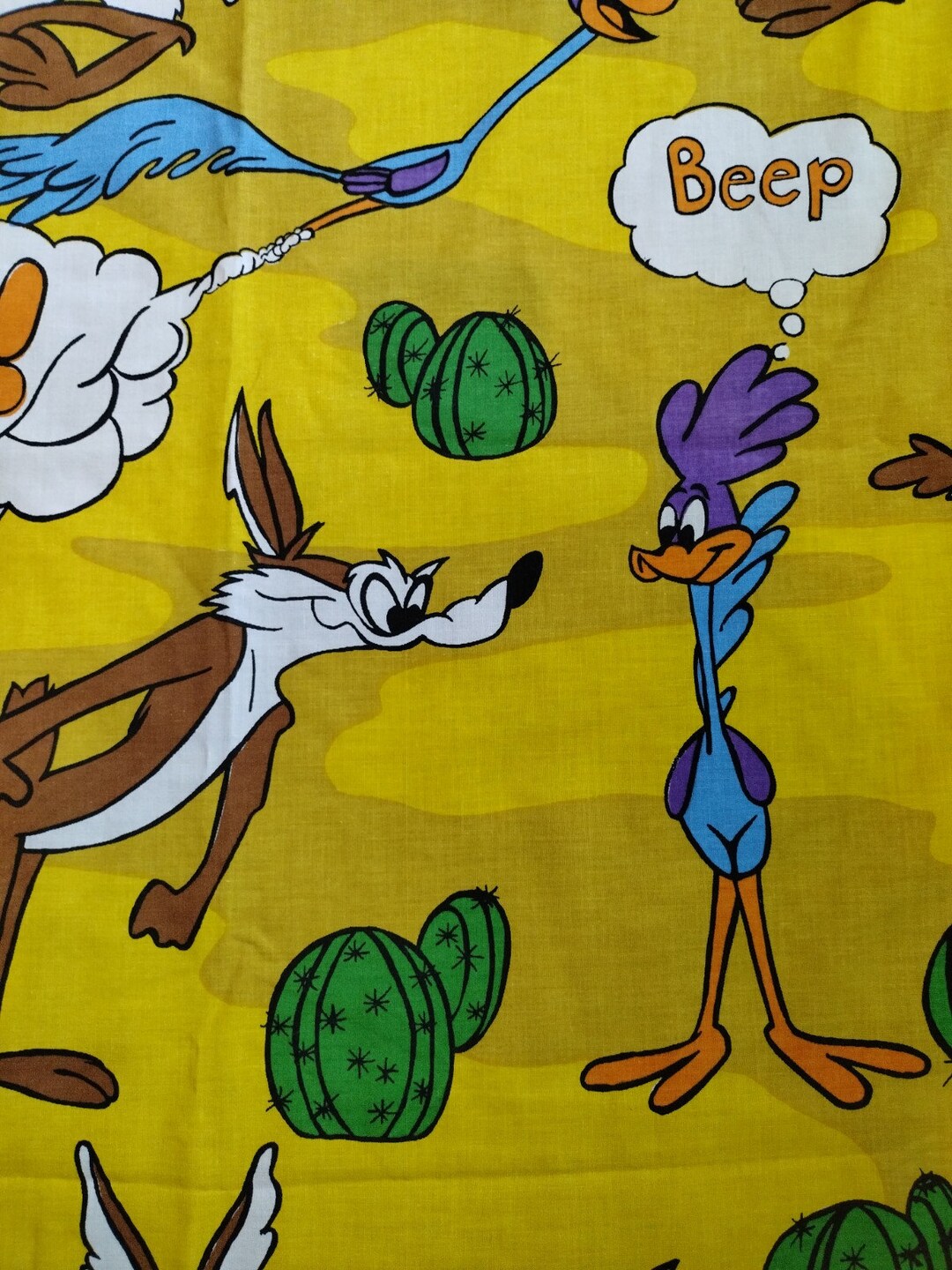 wylie coyote and the roadrunner shoes