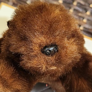 May include: Close-up of a brown plush toy with black button eyes. The toy has a furry texture and a small, black nose.