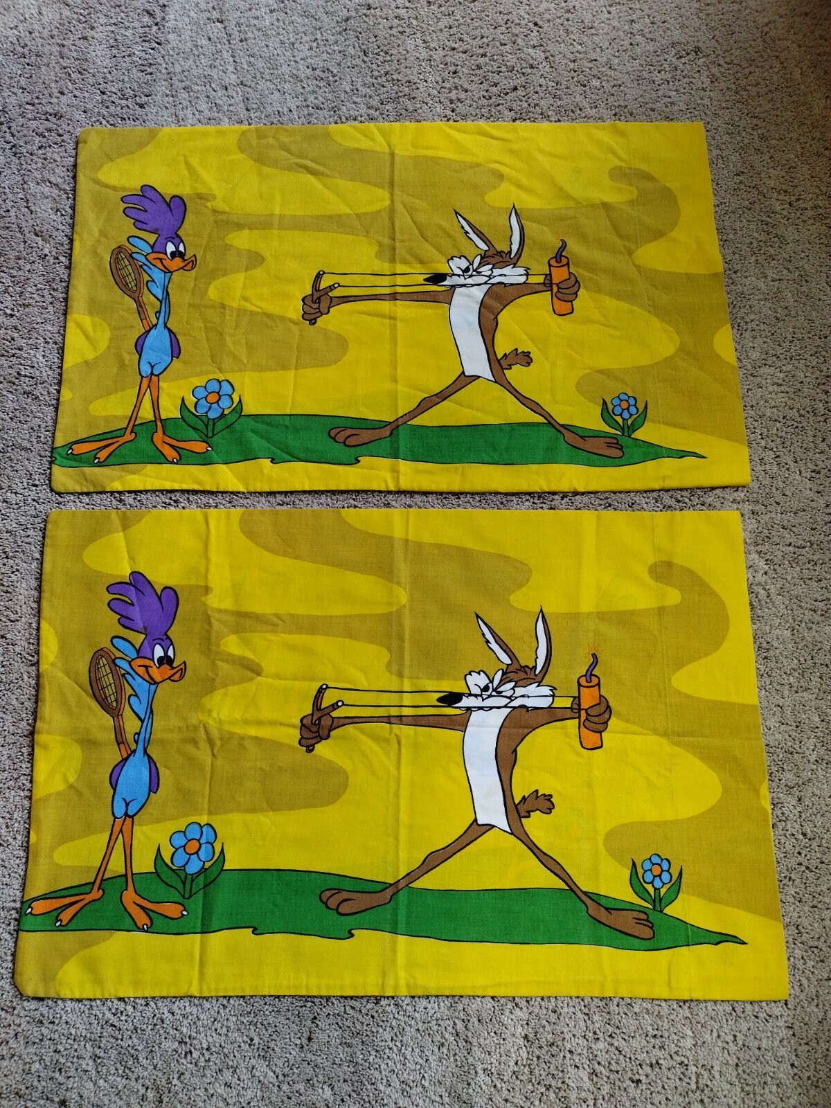 wile e coyote x roadrunner shoes