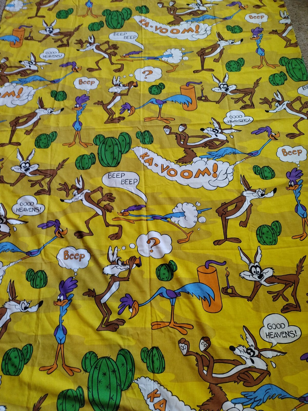 wile e roadrunner shoes