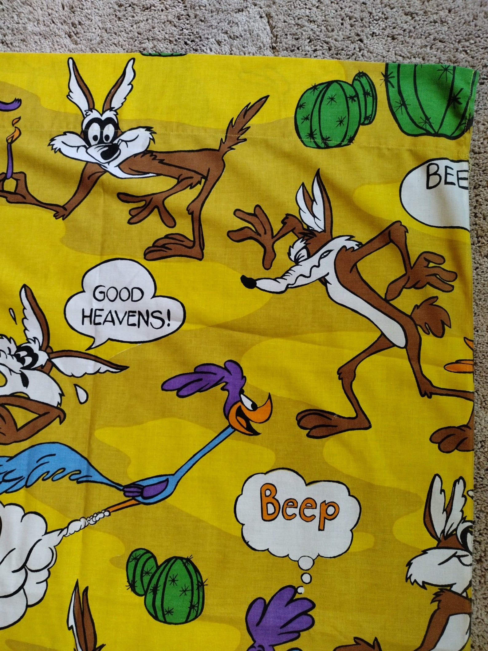 wylie coyote and the roadrunner shoes