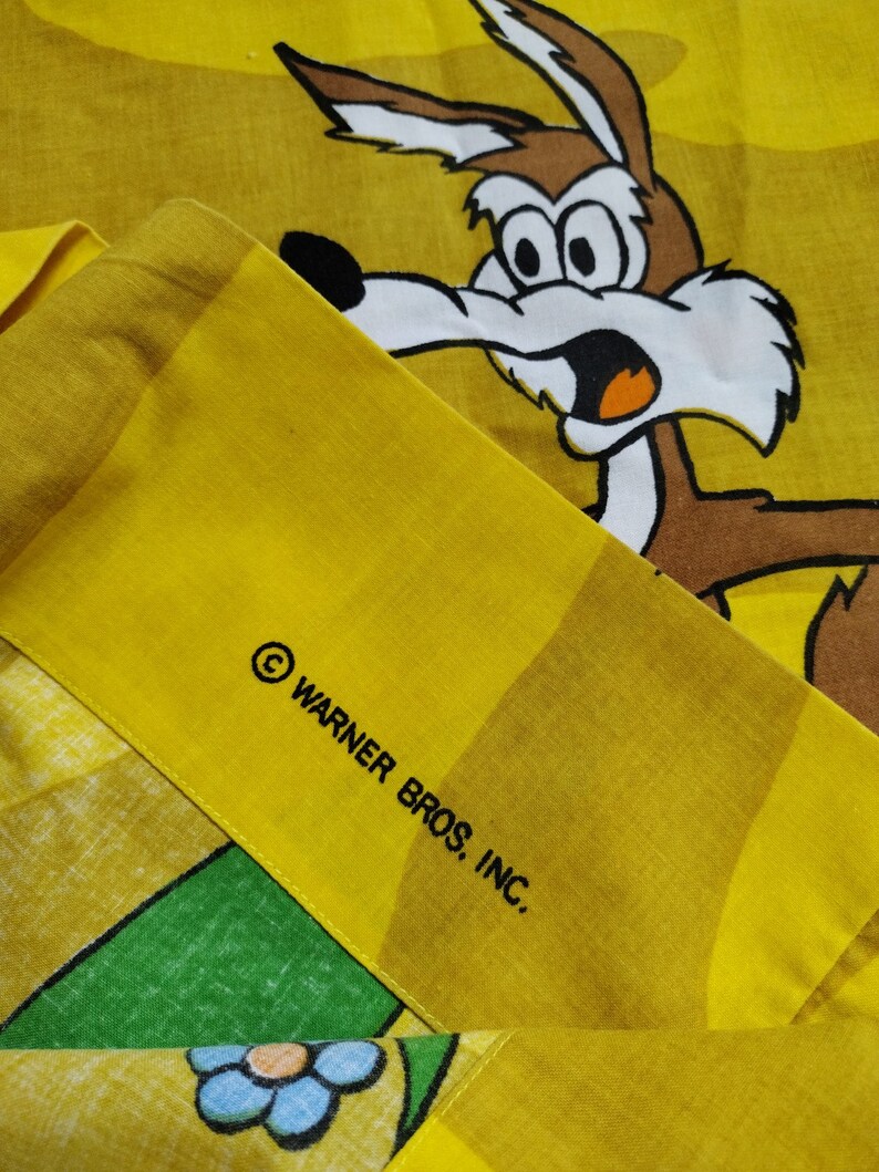 wile e roadrunner shoes