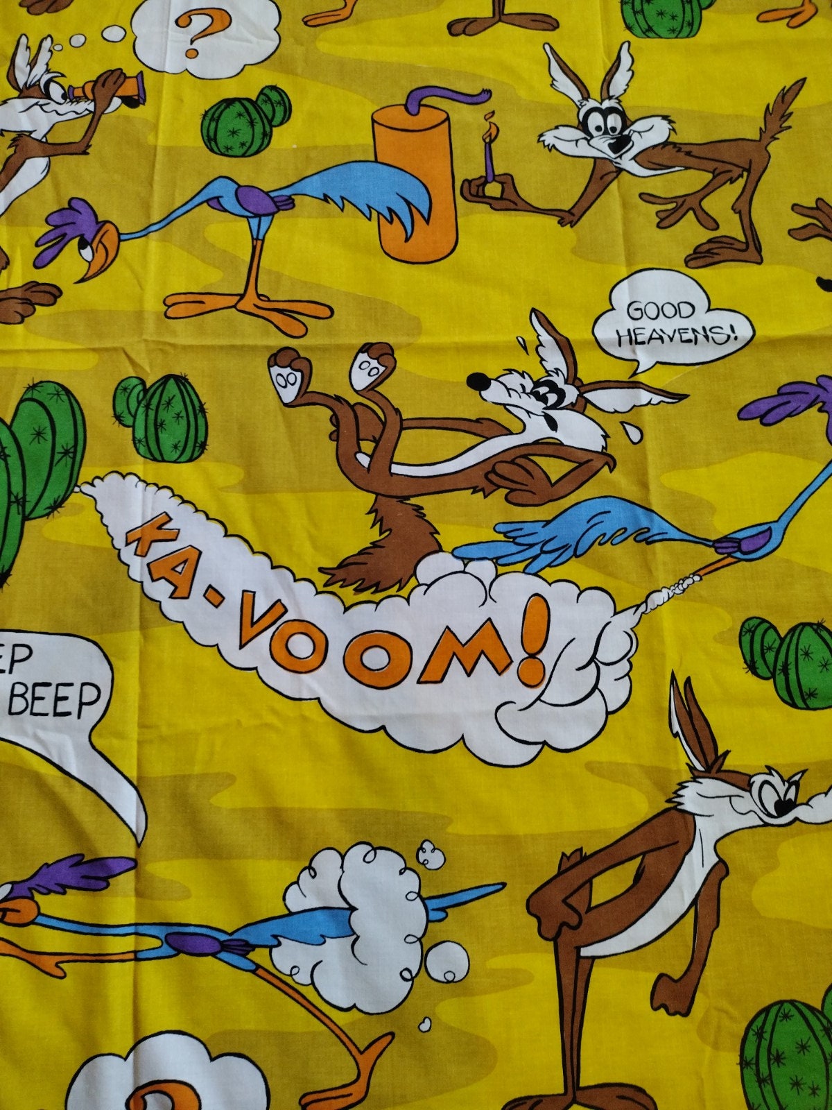 wile e roadrunner shoes