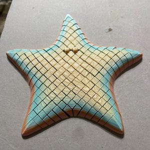 Op de afbeelding: Een vijfpuntig zeestervormig object met een raster van kleine vierkante segmenten. Het midden is lichtgeel en gaat over in een lichtblauwe kleur met een oranje rand. Twee kleine, ronde, lichtgekleurde kralen zijn ingebed nabij het midden bovenaan.