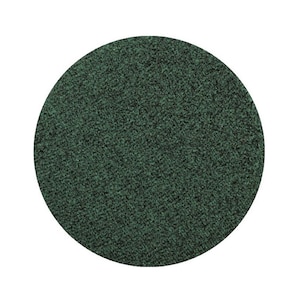 Timber, Forest Green Pressed Pigment, 26mm Pan, Pressed Pigment, Shimmer,  Cruelty-Free, Vegan