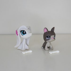 Hasbro Littlest Pet Shop LPS - Votre choix d'animal de compagnie pour chien : #3323 Afghan Hound ou #958 Boston Terrier - Pré-aimés