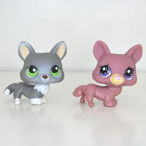 Hasbro Littlest Pet Shop - Authentic LPS Pet - Your Choice of a Collectible Corgi Pet: #367 or #1533