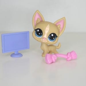 Authentic LPS Chihuahua #92: Poco La Playa, Retired Hasbro Collectible image 8