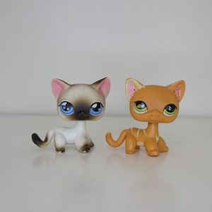Cheap cat shop deals