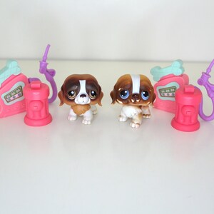 Saint bernard accessories sales